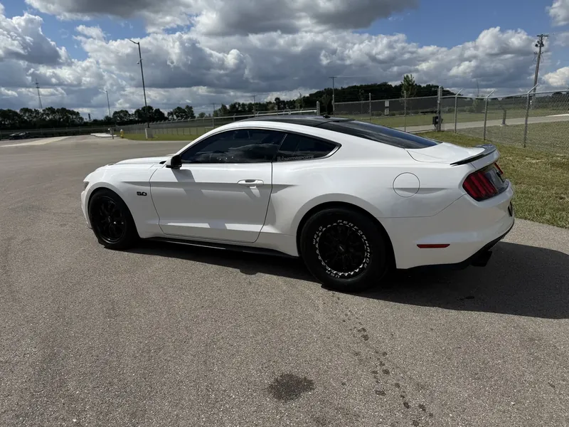 Sports car — exterior detail — by Wax N' Go Mobile Detailing