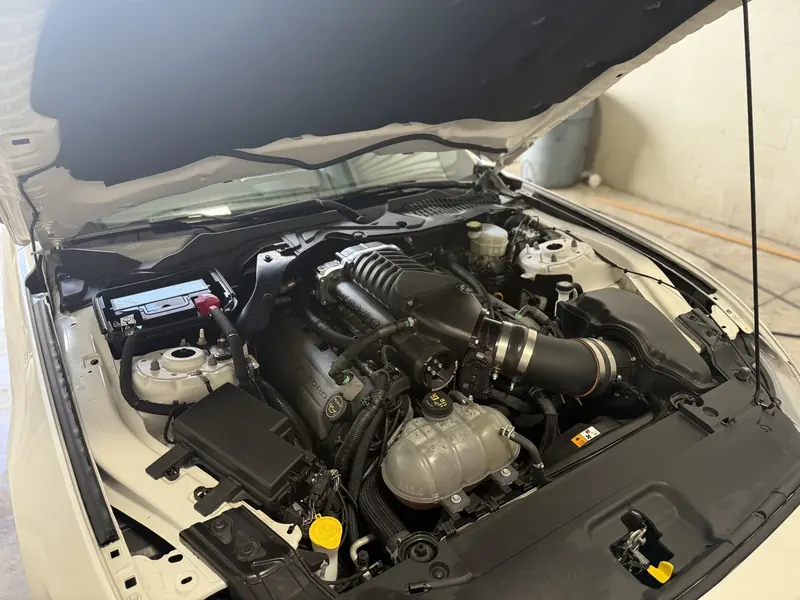 Engine bay — detailed — by Wax N' Go Mobile Detailing