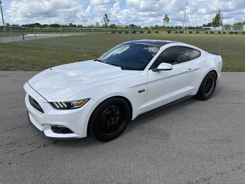 White Ford Mustang 5.0 freshly detailed — paint gleaming in parking lot light